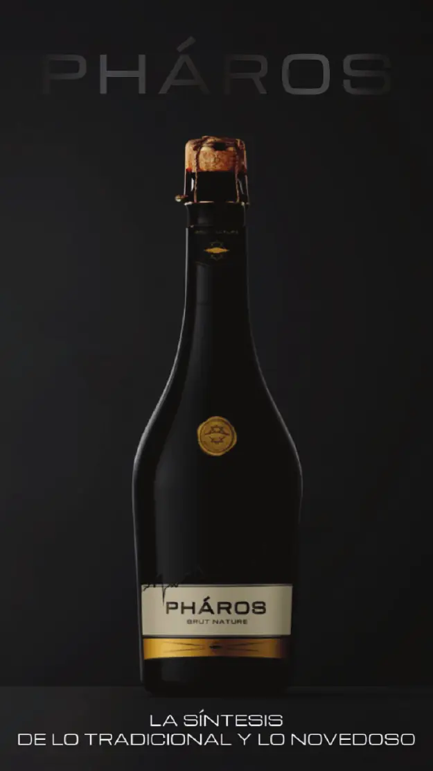 Crowdfarming.wine portfolio, page 39