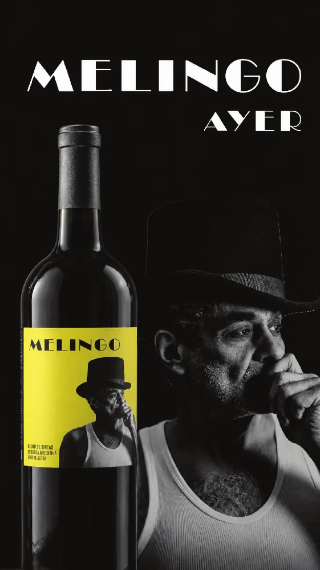 Crowdfarming.wine portfolio, page 40